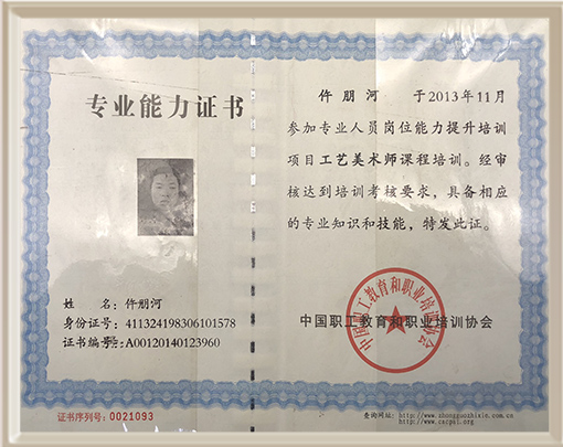 专业能力证书